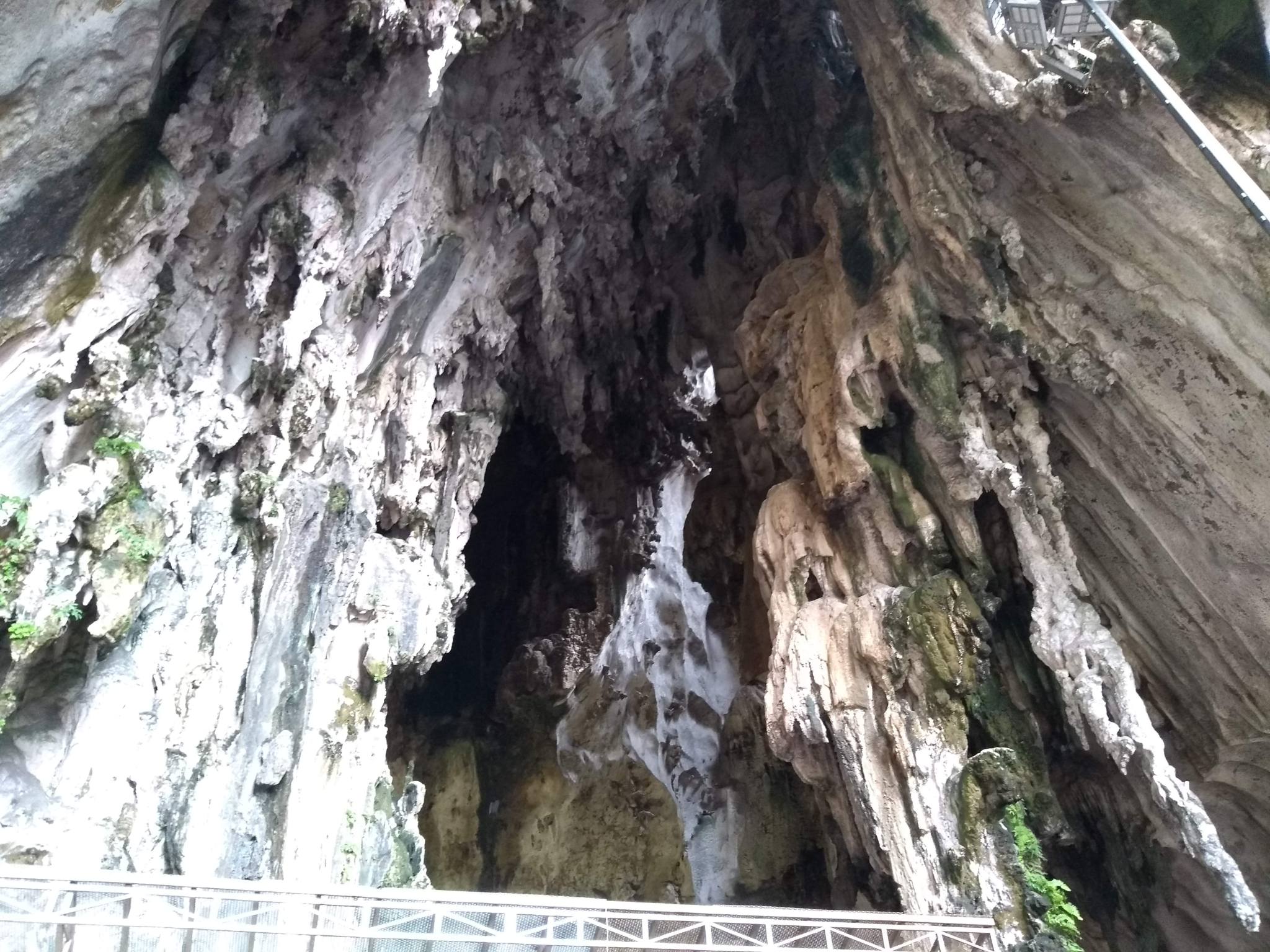 IMG_20191218_114346293